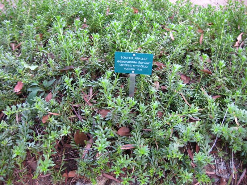 File:1280px-IMG 2597 ucla09.jpg