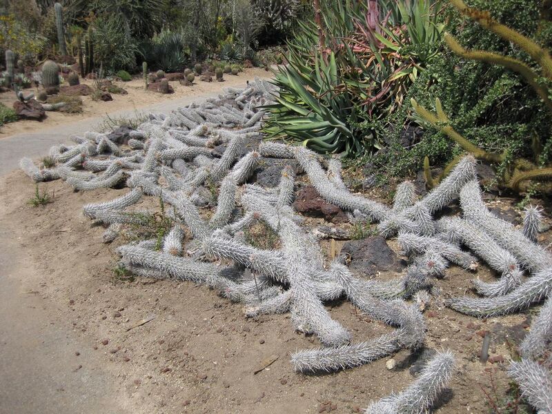 File:1280px-IMG 4422 hunt0904.jpg