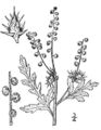 Thumbnail for version as of 13:14, 28 April 2007
