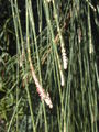 Thumbnail for version as of 04:01, 19 August 2007