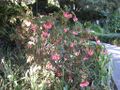 Thumbnail for version as of 09:29, 29 April 2025
