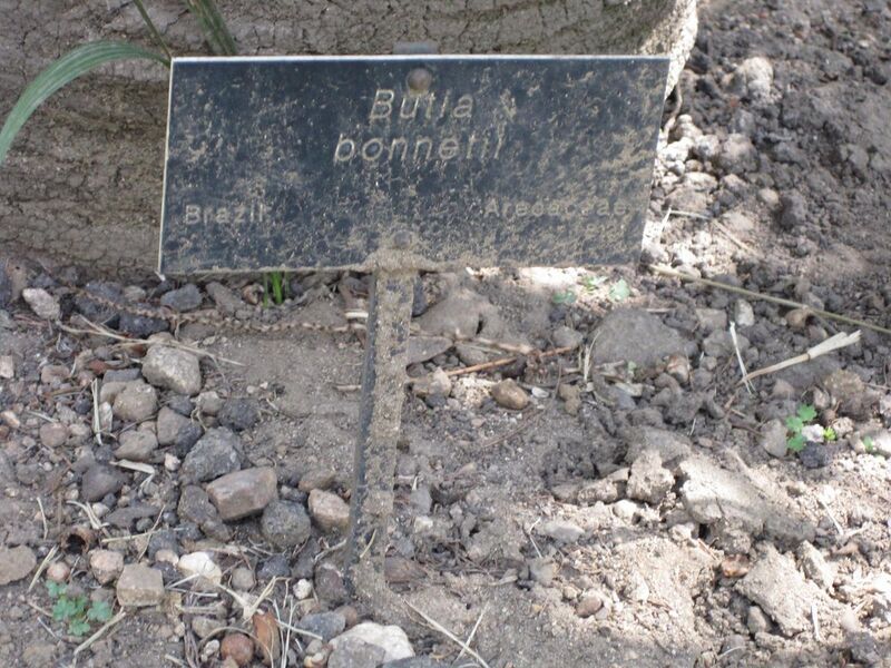 File:1280px-IMG 4157 hunt0904.jpg