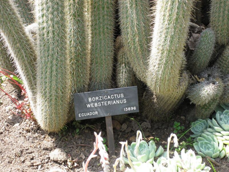 File:1280px-IMG 4295 hunt0904.jpg