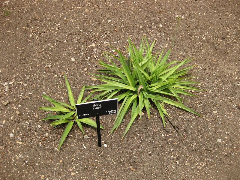 File:1280px-IMG 7219 hunt09jun.jpg