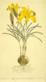 Thumbnail for version as of 10:58, 25 May 2007