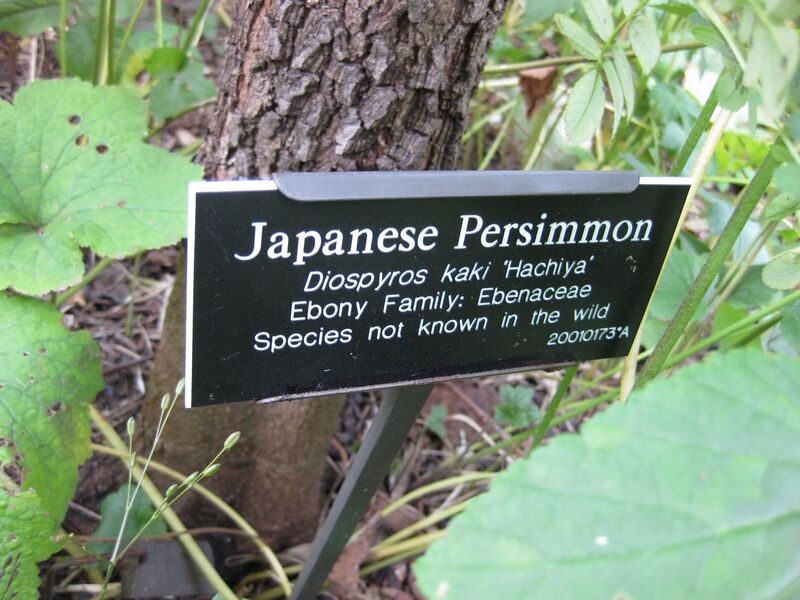 File:1280px-IMG 0813 bbg09.jpg