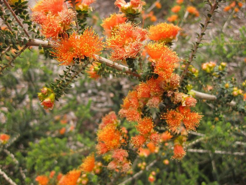 File:1280px-IMG 7290 hunt09jun.jpg