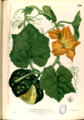 Thumbnail for version as of 10:03, 29 April 2025