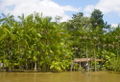 Thumbnail for version as of 17:36, 14 November 2007
