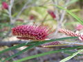 Thumbnail for version as of 12:41, 30 November 2007