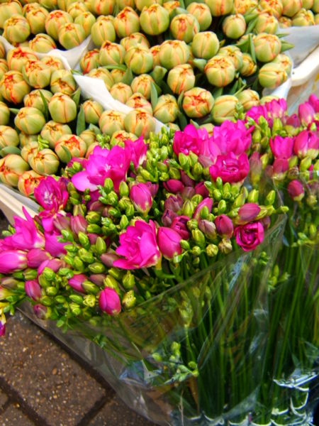 File:Hot pink-150.jpg