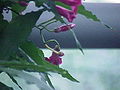 Thumbnail for version as of 10:25, 29 April 2025