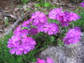 Thumbnail for version as of 18:22, 7 March 2008