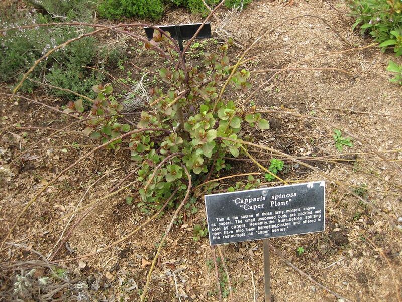 File:1024px-IMG 5347 hunt0904.jpg