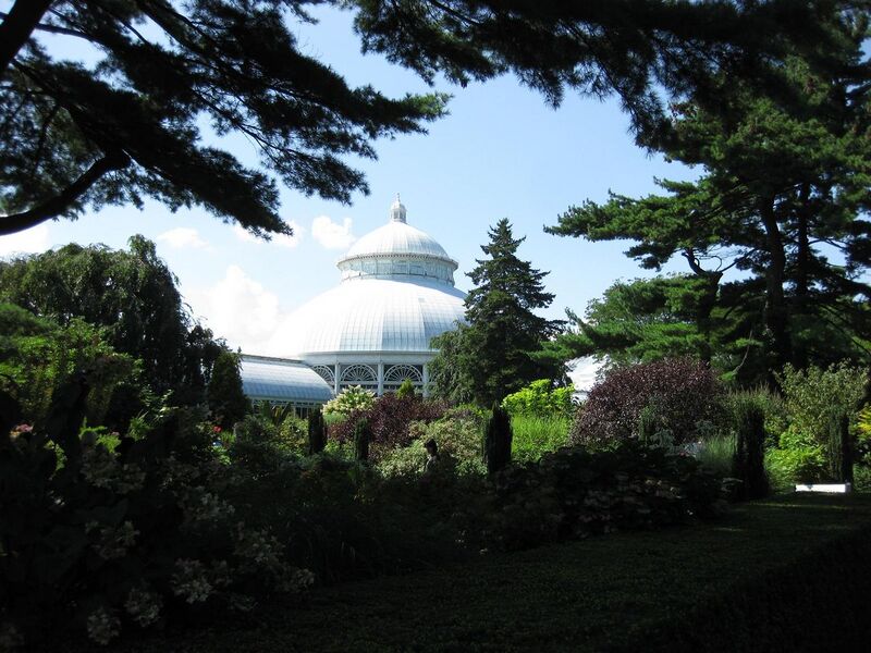 File:1280px-IMG 0358 nybg09.jpg