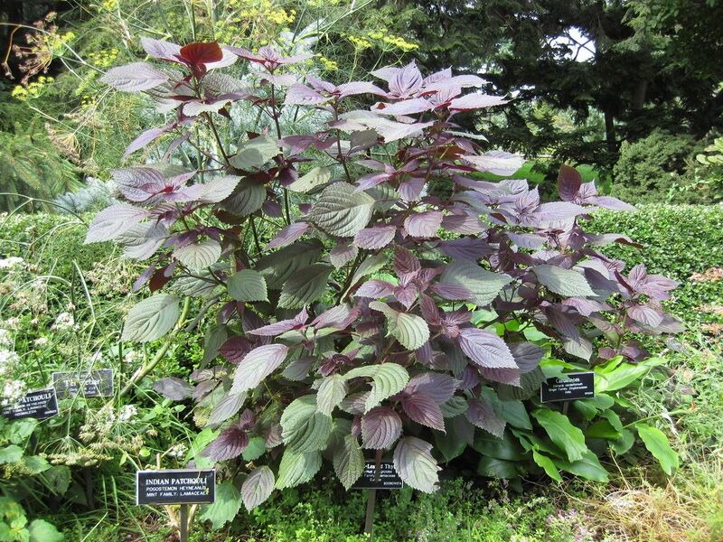 File:1280px-IMG 0740 bbg09.jpg