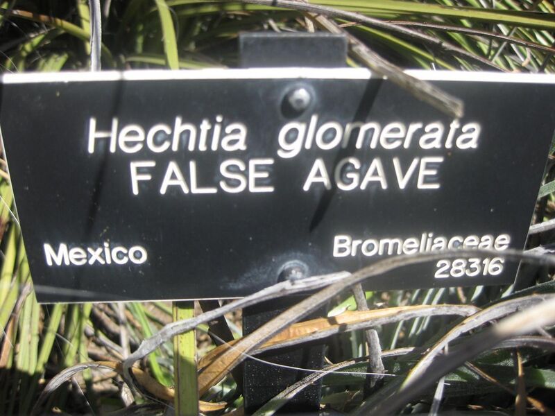 File:1280px-IMG 2225 hunt0903.jpg