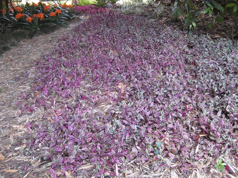 File:1280px-IMG 4191 hunt0904.jpg