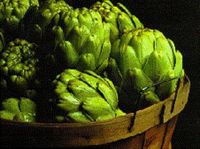 Globe Artichoke buds ready for cooking
