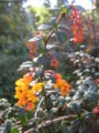 Thumbnail for version as of 19:22, 25 February 2008