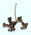 Ripe drupes of Hovenia dulcis attached to edible fleshy fruit stalks