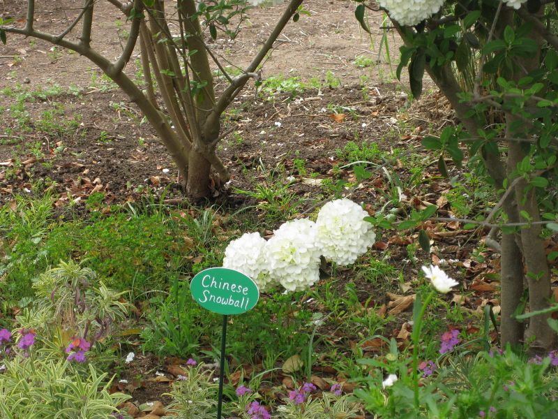 File:IMG 5220 hunt0904.jpg