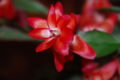 Thumbnail for version as of 20:14, 19 February 2008