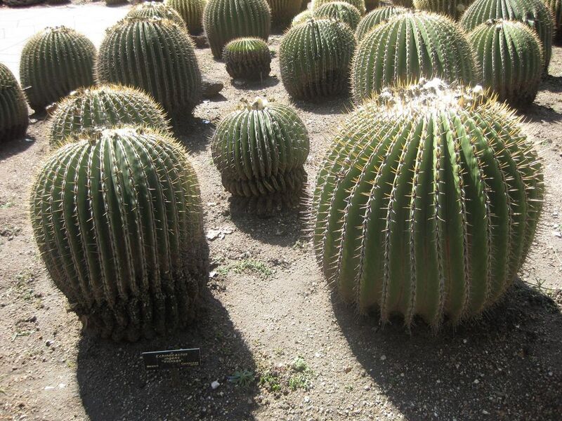 File:1024px-IMG 2196 hunt0903.jpg