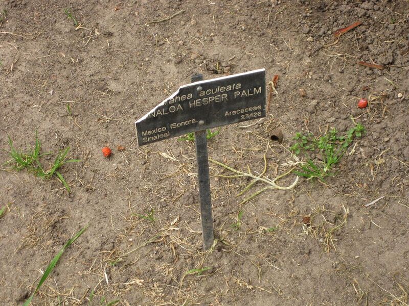 File:1280px-IMG 3902 hunt0904.jpg