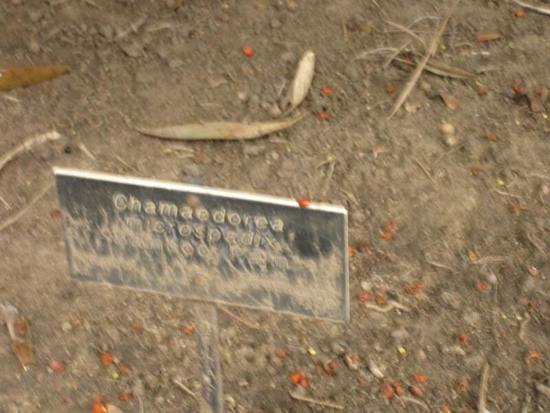 File:1280px-IMG 3906 hunt0904.jpg