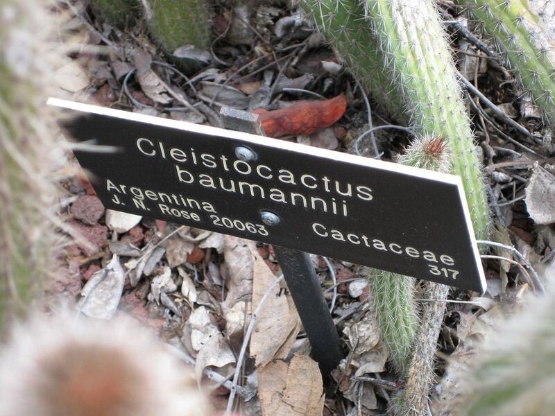 File:1280px-IMG 4259 hunt0904.jpg