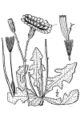 Thumbnail for version as of 04:38, 2 July 2007