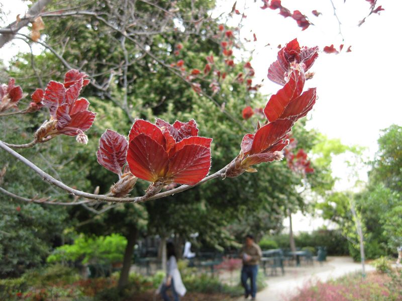 File:IMG 5215 hunt0904.jpg