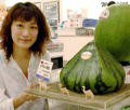 Thumbnail for version as of 15:55, 20 May 2007