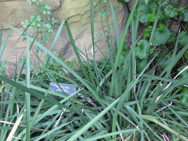 File:1280px-IMG 1220 bbg09.jpg