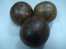 Siraitia grosvenorii (luohan guo) fruits