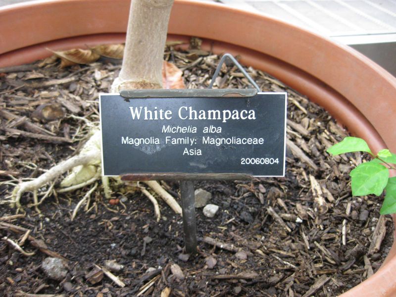 File:IMG 0887 bbg09.jpg