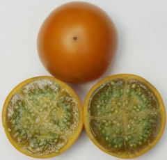 Whole and transversely-cut lulos