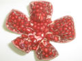 Pomegranate — opened up