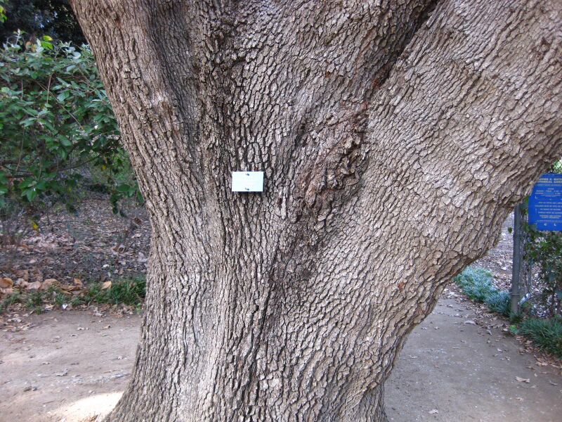 File:R1o2l6cie2hp1vzdd1jgnz4qcdruicf.jpg