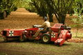 Thumbnail for version as of 04:01, 13 August 2007