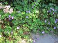 Thumbnail for version as of 09:38, 29 April 2025