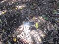 Thumbnail for version as of 09:10, 29 April 2025