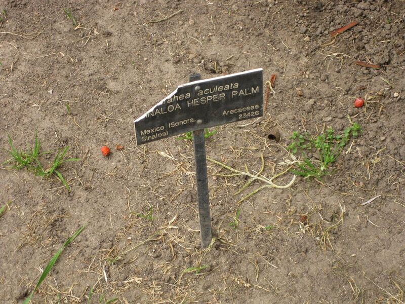 File:1024px-IMG 3902 hunt0904.jpg