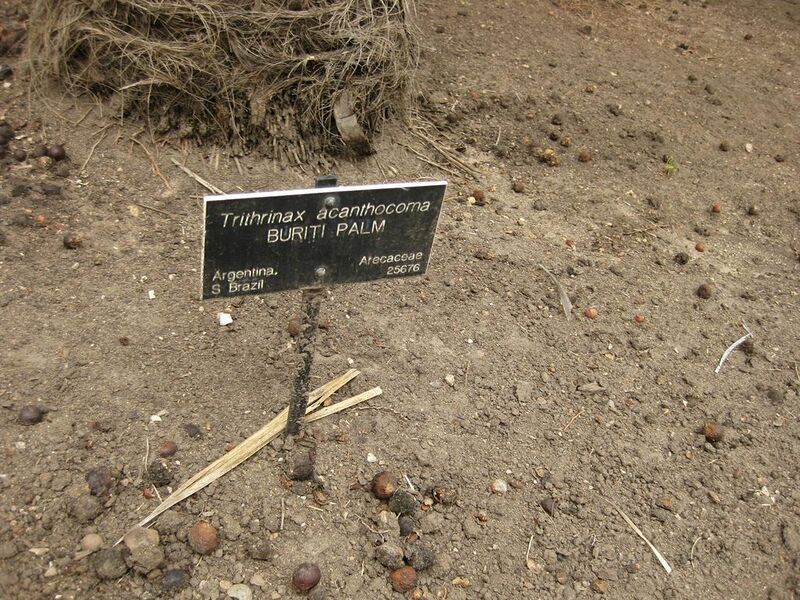 File:1024px-IMG 3994 hunt0904.jpg