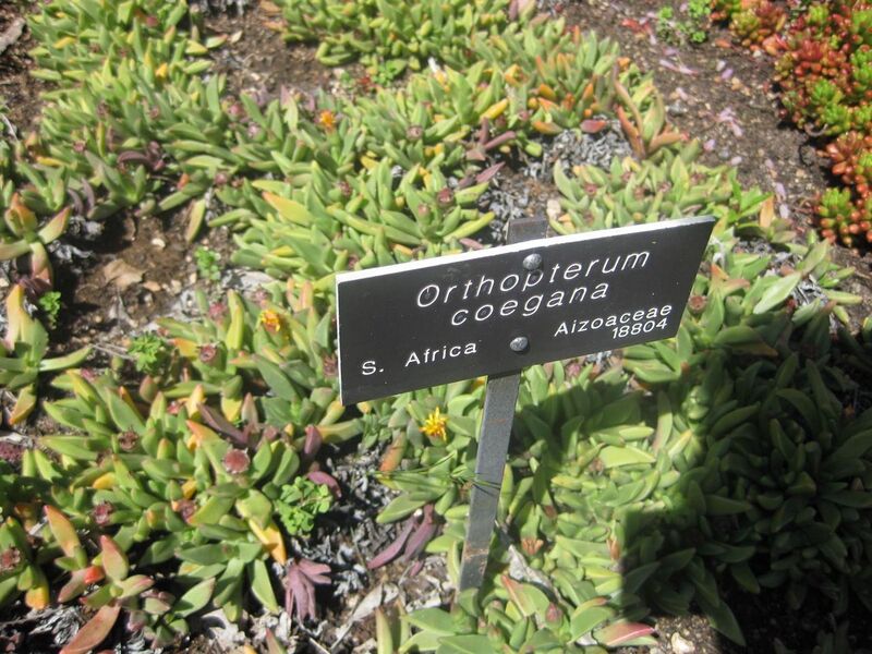 File:1280px-IMG 2147 hunt0903.jpg