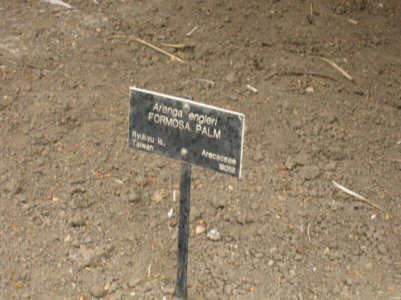 File:1280px-IMG 3881 hunt0904.jpg