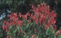 Thumbnail for version as of 10:33, 29 April 2025