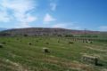 Small square bales of alfalfa