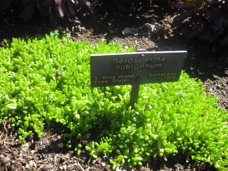 File:IMG 2131 hunt0903.jpg